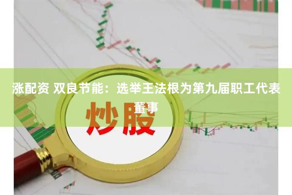涨配资 双良节能：选举王法根为第九届职工代表董事
