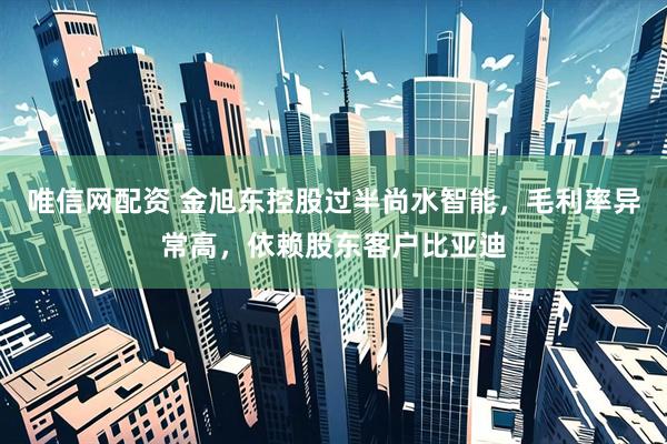 唯信网配资 金旭东控股过半尚水智能，毛利率异常高，依赖股东客户比亚迪